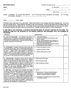 NIH Stroke Scale Form