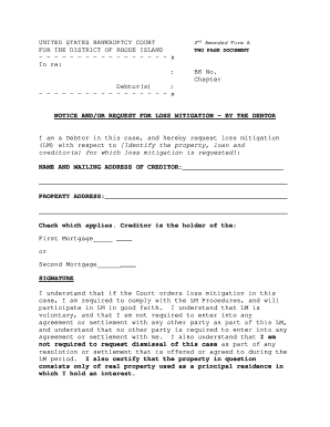 US Bankruptcy Court Loss Mitigation Request Form