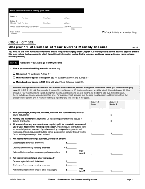 Chapter 11 Statement of Current Monthly Income