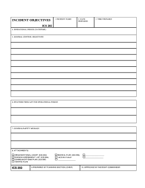 Incident Action Plan Form