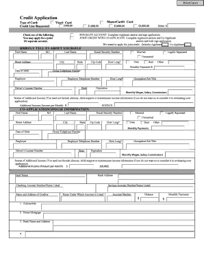 Credit Application Form