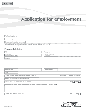 UK Employment Application Form