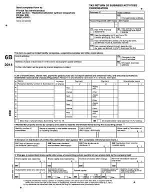 Finnish Business Tax Return Form