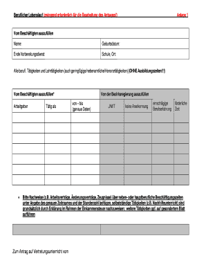 Beruflicher Lebenslauf