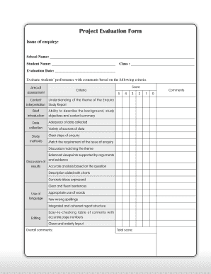 Project Evaluation Form