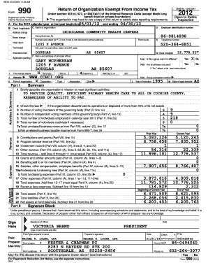 Form 990 Tax Exempt Organization Return
