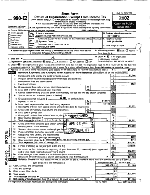 Form 990-EZ 2002