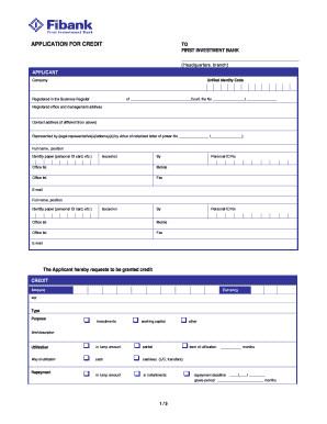 Application for Credit to First Investment Bank