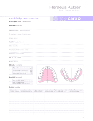 Auftragsschein cara I-Bridge neue Verbindung