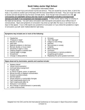 Concussion Information Sheet