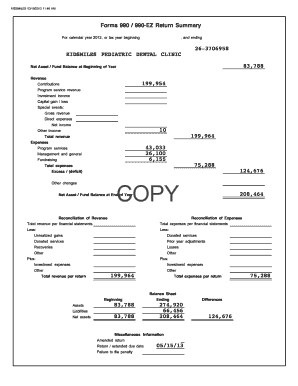 Form 990 and 990-EZ Return Summary