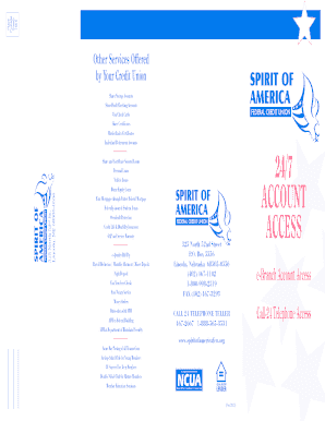 Credit Union Account Access Application