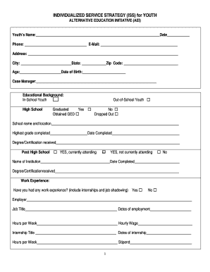 Individualized Service Strategy for Youth