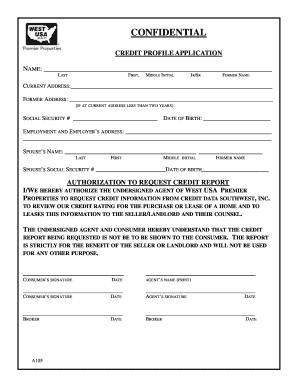 Credit Profile Application