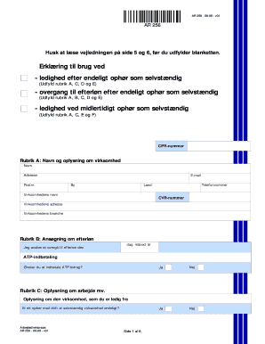 Danish Self-Employment Termination Declaration