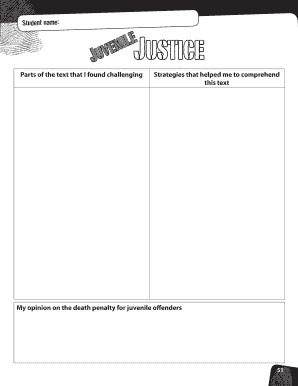 Juvenile Justice Opinion Form