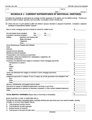 Form B6J - Current Expenditures of Individual Debtor