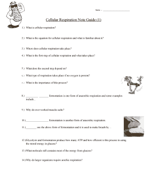 Cellular Respiration Note Guide