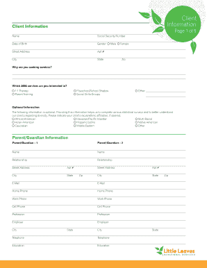 ABA Therapy Client Intake Form