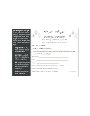 2013 Holiday Lights Rebate Coupon