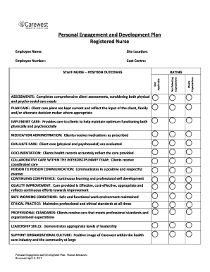 Registered Nurse Personal Engagement and Development Plan