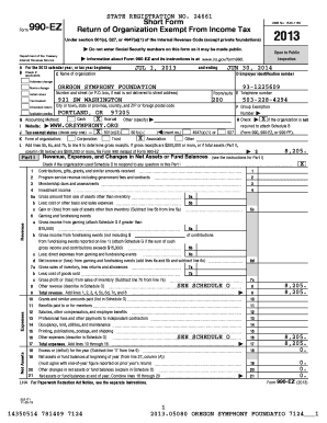 Form 990-EZ 2013