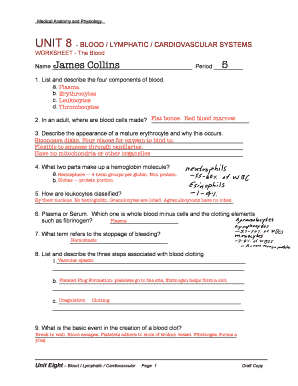 Cardiovascular System Worksheet Answers - Fill Online, Printable, Fillable,  Blank | pdfFiller