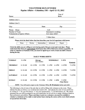 Form preview
