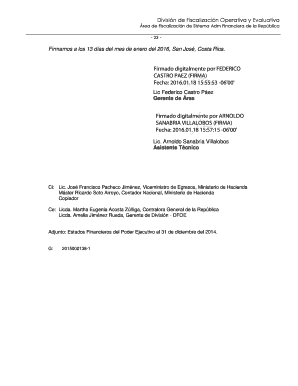 Costa Rica Financial Audit Report 2014