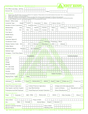 Form preview picture