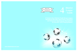 4-District Youth Soccer League Team List Form