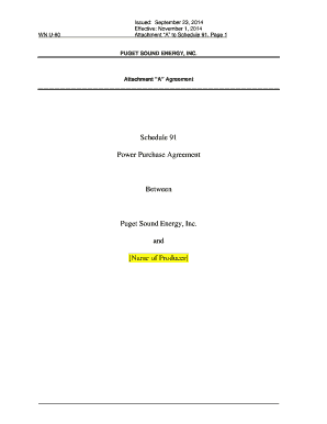 Schedule 91 Power Purchase Agreement between Puget Sound bb