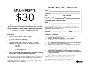 System Mechanic Professional Mail-In Rebate Form