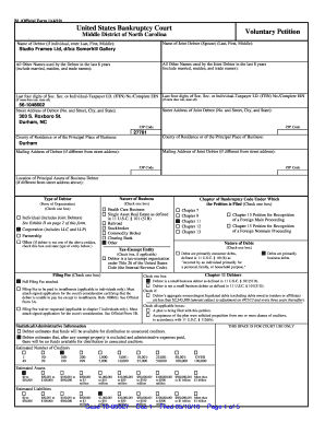 US Bankruptcy Voluntary Petition