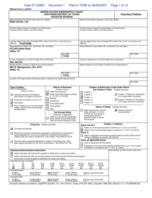 US Bankruptcy Court Voluntary Petition