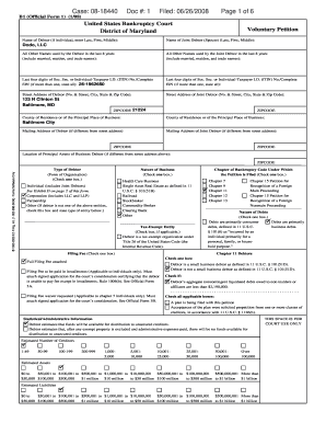 US Bankruptcy Court Voluntary Petition