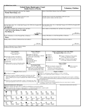 US Bankruptcy Court Voluntary Petition