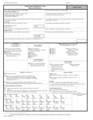 US Bankruptcy Court Voluntary Petition