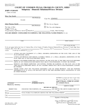 county pleas court common franklin ohio fillable form 2010 pdffiller