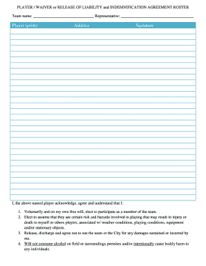 Player Waiver or Release of Liability and Indemnification Agreement