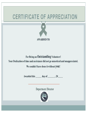 volunteer appreciation certificate template