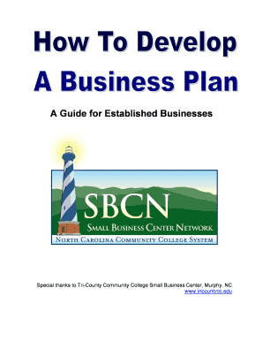 Business Plan for Established Business