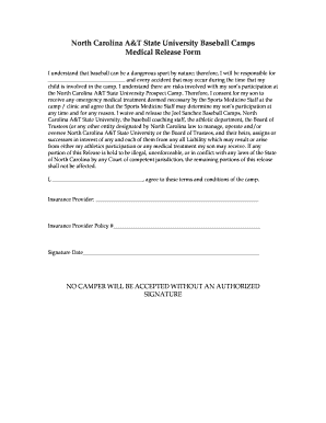 youth baseball waiver form template