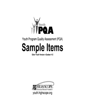 Youth Program Quality Assessment Form