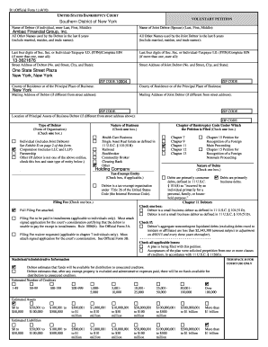 US Bankruptcy Voluntary Petition Form 1