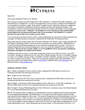 2010 Federal Form 1065 Schedule K-1