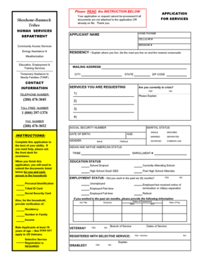 Shoshone-Bannock Services Application