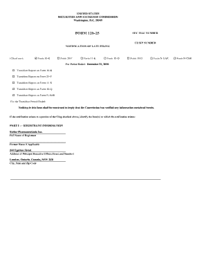 Fillable Online o Form 20-F Fax Email Print - pdfFiller