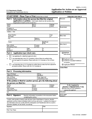 US Immigration Form I-824