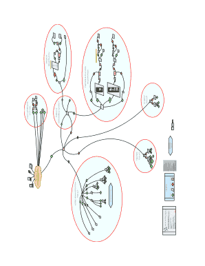 USABO Student Registration Form